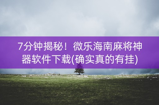 7分钟揭秘！微乐海南麻将神器软件下载(确实真的有挂)