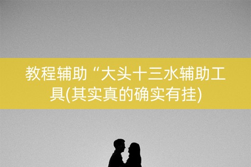 教程辅助“大头十三水辅助工具(其实真的确实有挂)
