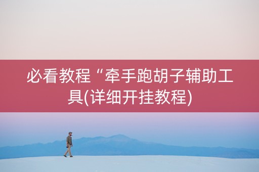 必看教程“牵手跑胡子辅助工具(详细开挂教程)