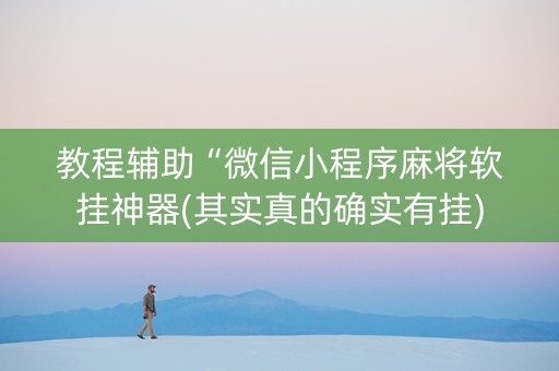 教程辅助“微信小程序麻将软挂神器(其实真的确实有挂)