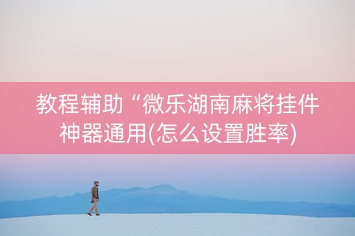 教程辅助“微乐湖南麻将挂件神器通用(怎么设置胜率)