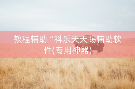 教程辅助“科乐天天踢辅助软件(专用神器)