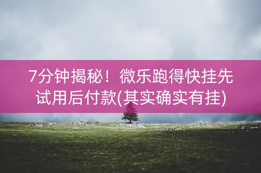 7分钟揭秘！微乐跑得快挂先试用后付款(其实确实有挂)