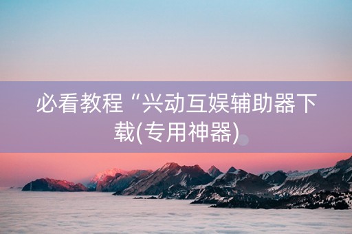 必看教程“兴动互娱辅助器下载(专用神器)