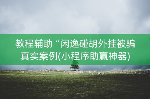 教程辅助“闲逸碰胡外挂被骗真实案例(小程序助赢神器)