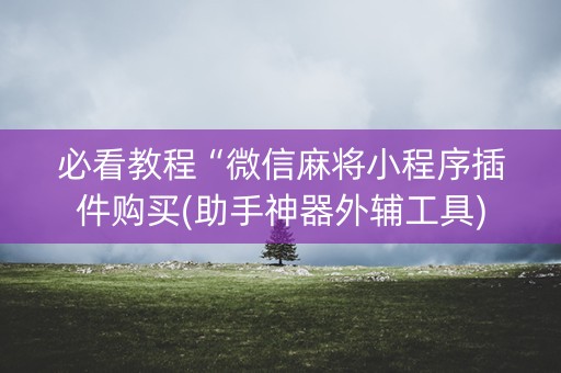 必看教程“微信麻将小程序插件购买(助手神器外辅工具)