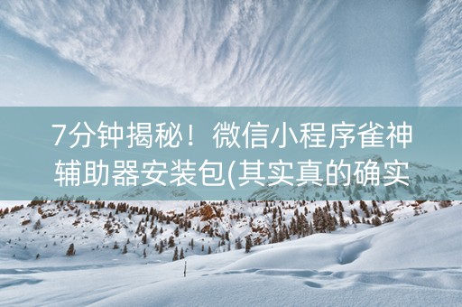 7分钟揭秘！微信小程序雀神辅助器安装包(其实真的确实有挂)