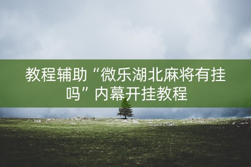 教程辅助“微乐湖北麻将有挂吗”内幕开挂教程