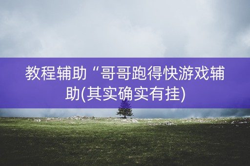 教程辅助“哥哥跑得快游戏辅助(其实确实有挂)