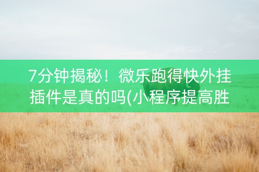 7分钟揭秘！微乐跑得快外挂插件是真的吗(小程序提高胜率)