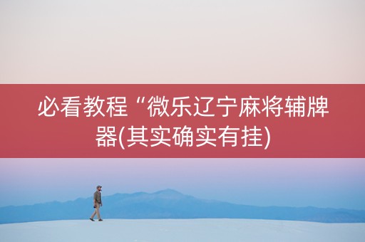 必看教程“微乐辽宁麻将辅牌器(其实确实有挂)