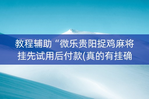教程辅助“微乐贵阳捉鸡麻将挂先试用后付款(真的有挂确实有挂)
