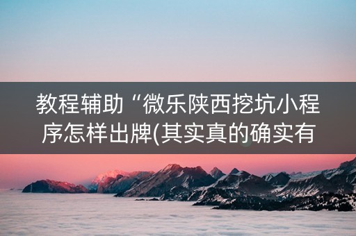 教程辅助“微乐陕西挖坑小程序怎样出牌(其实真的确实有挂)