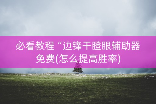 必看教程“边锋干瞪眼辅助器免费(怎么提高胜率)