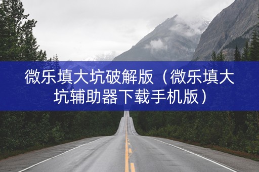 微乐填大坑破解版（微乐填大坑辅助器下载手机版）