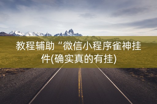 教程辅助“微信小程序雀神挂件(确实真的有挂)