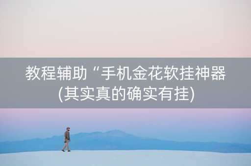 教程辅助“手机金花软挂神器(其实真的确实有挂)