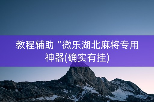 教程辅助“微乐湖北麻将专用神器(确实有挂)