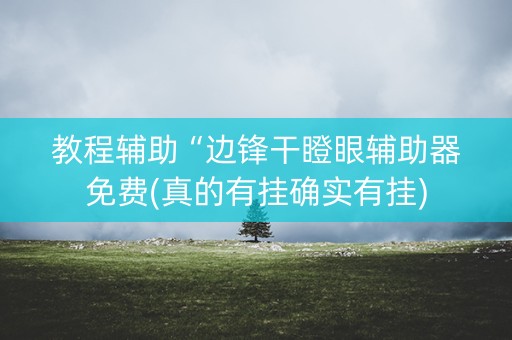 教程辅助“边锋干瞪眼辅助器免费(真的有挂确实有挂)