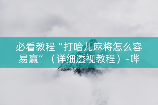 必看教程“打哈儿麻将怎么容易赢”（详细透视教程）-哔哩哔哩
