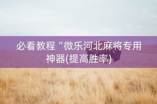 必看教程“微乐河北麻将专用神器(提高胜率)