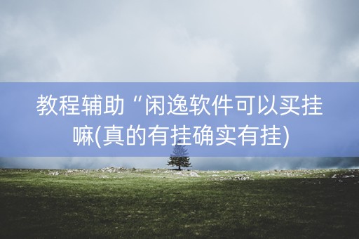 教程辅助“闲逸软件可以买挂嘛(真的有挂确实有挂)