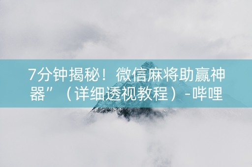 7分钟揭秘！微信麻将助赢神器”（详细透视教程）-哔哩哔哩