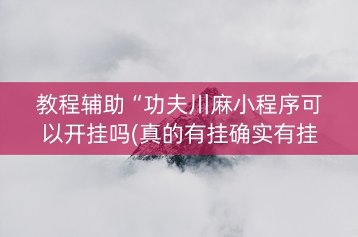教程辅助“功夫川麻小程序可以开挂吗(真的有挂确实有挂)