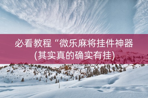 必看教程“微乐麻将挂件神器(其实真的确实有挂)