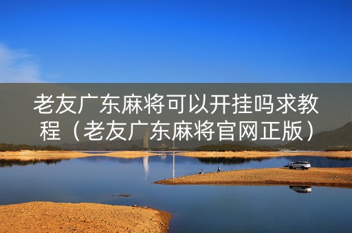 老友广东麻将可以开挂吗求教程（老友广东麻将官网正版）