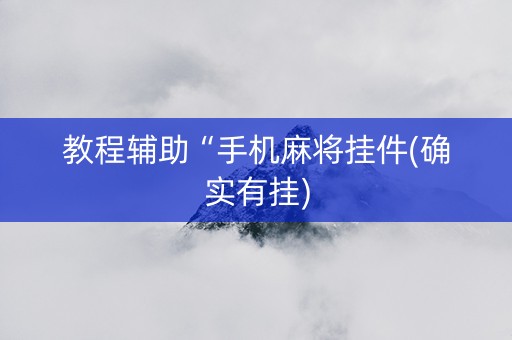 教程辅助“手机麻将挂件(确实有挂)