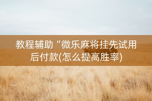 教程辅助“微乐麻将挂先试用后付款(怎么提高胜率)