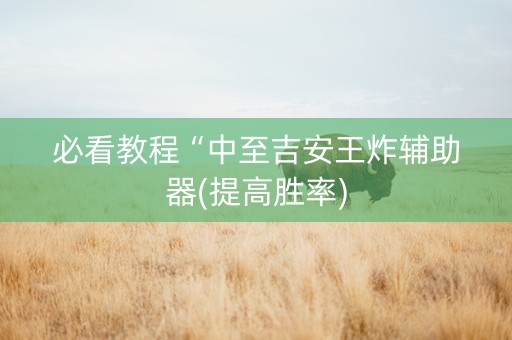 必看教程“中至吉安王炸辅助器(提高胜率)