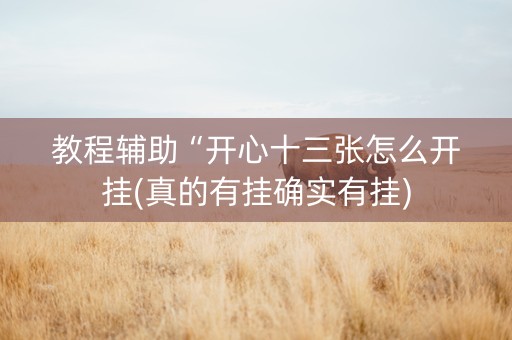 教程辅助“开心十三张怎么开挂(真的有挂确实有挂)