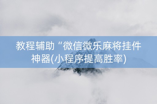 教程辅助“微信微乐麻将挂件神器(小程序提高胜率)