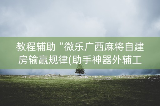 教程辅助“微乐广西麻将自建房输赢规律(助手神器外辅工具)