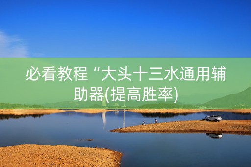 必看教程“大头十三水通用辅助器(提高胜率)