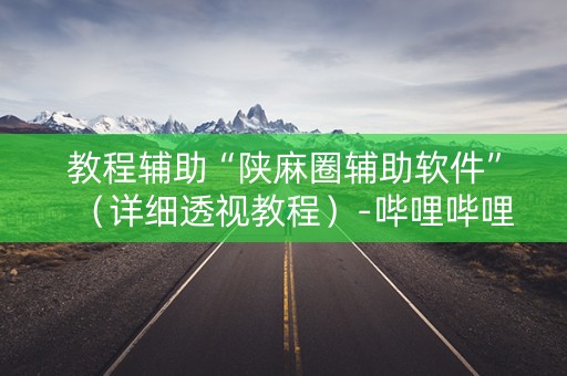 教程辅助“陕麻圈辅助软件”（详细透视教程）-哔哩哔哩