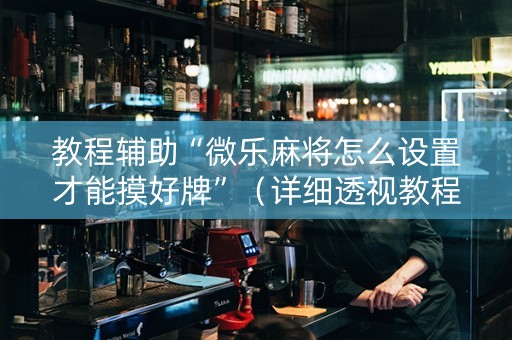 教程辅助“微乐麻将怎么设置才能摸好牌”（详细透视教程）-哔哩哔哩