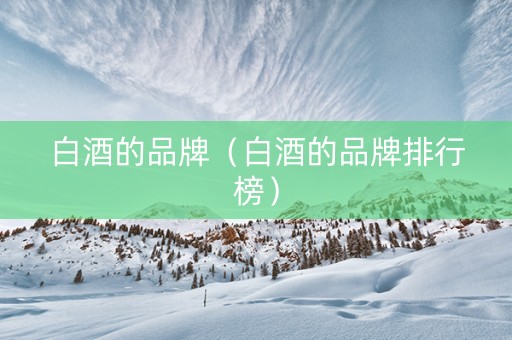 白酒的品牌（白酒的品牌排行榜）