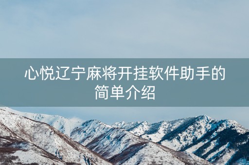 心悦辽宁麻将开挂软件助手的简单介绍