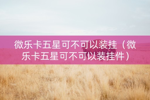 微乐卡五星可不可以装挂（微乐卡五星可不可以装挂件）