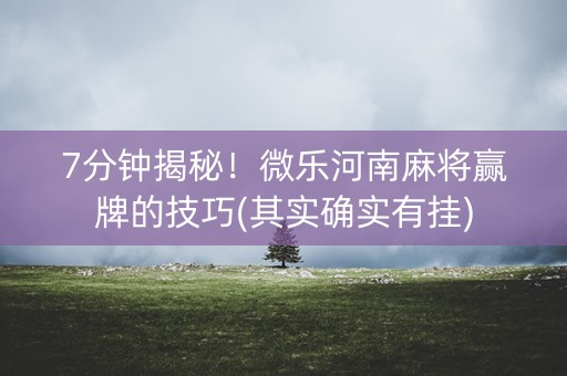 7分钟揭秘！微乐河南麻将赢牌的技巧(其实确实有挂)