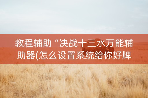 教程辅助“决战十三水万能辅助器(怎么设置系统给你好牌)