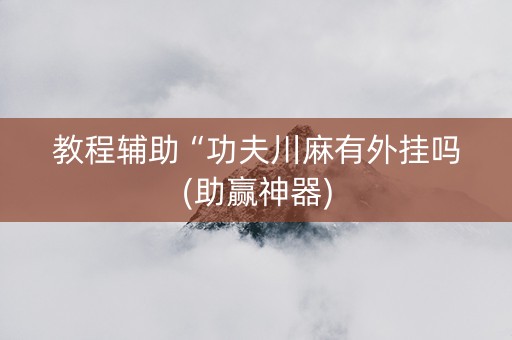 教程辅助“功夫川麻有外挂吗(助赢神器)