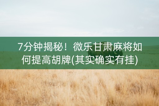7分钟揭秘！微乐甘肃麻将如何提高胡牌(其实确实有挂)