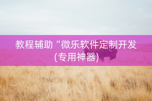 教程辅助“微乐软件定制开发(专用神器)