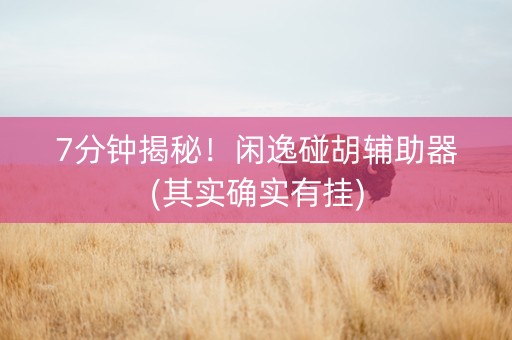 7分钟揭秘！闲逸碰胡辅助器(其实确实有挂)