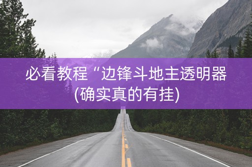 必看教程“边锋斗地主透明器(确实真的有挂)