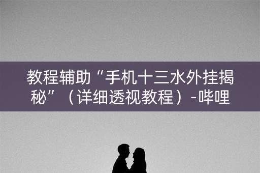 教程辅助“手机十三水外挂揭秘”（详细透视教程）-哔哩哔哩